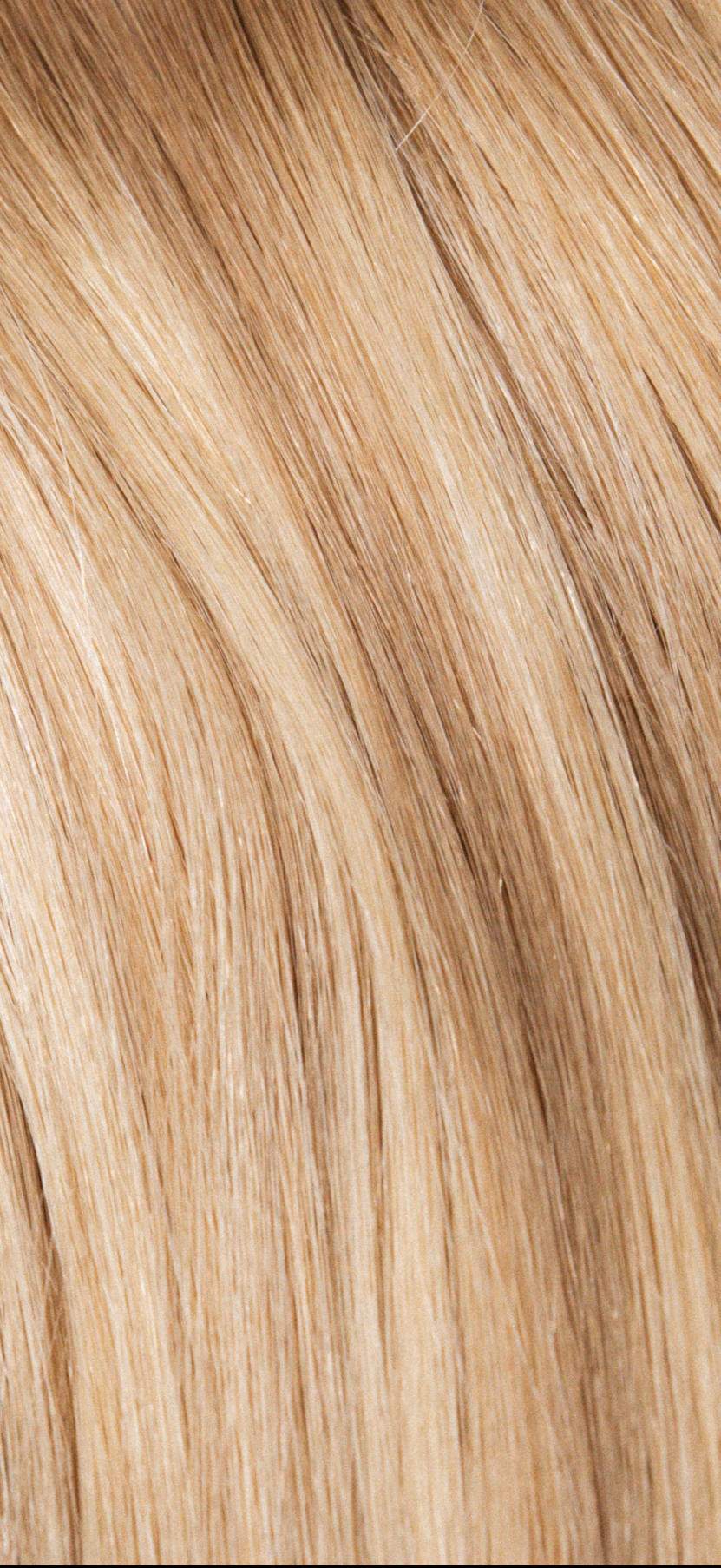 Lace Closure Collection