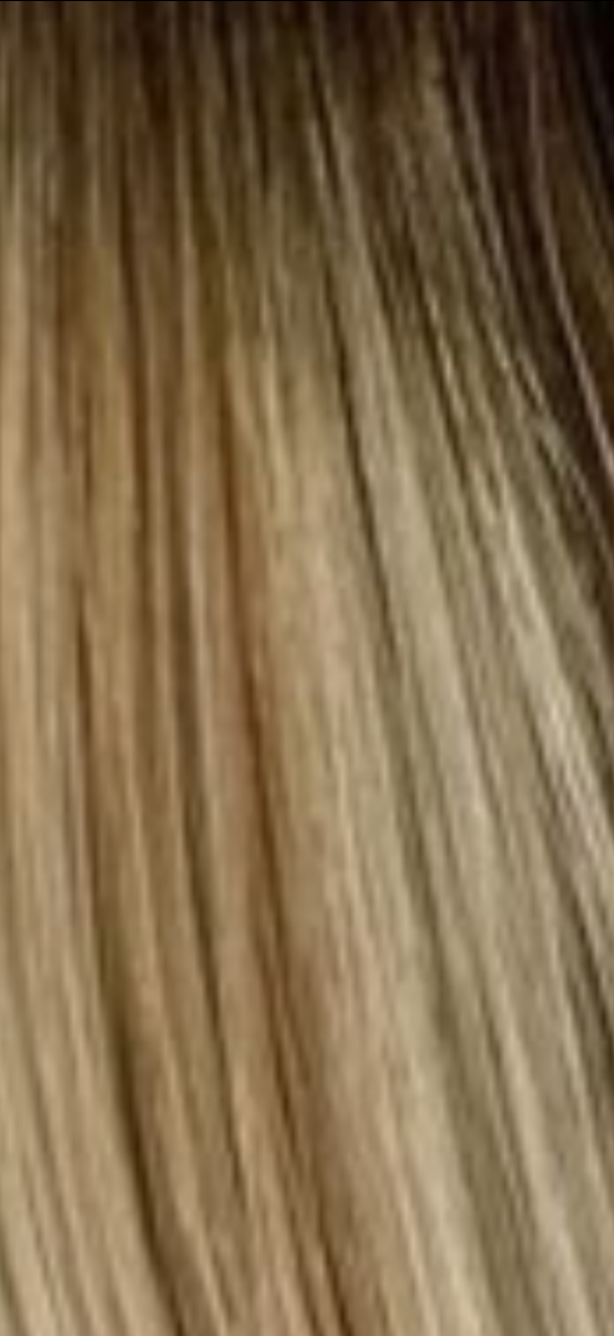 Luxury Seamless Clip-In Extensions