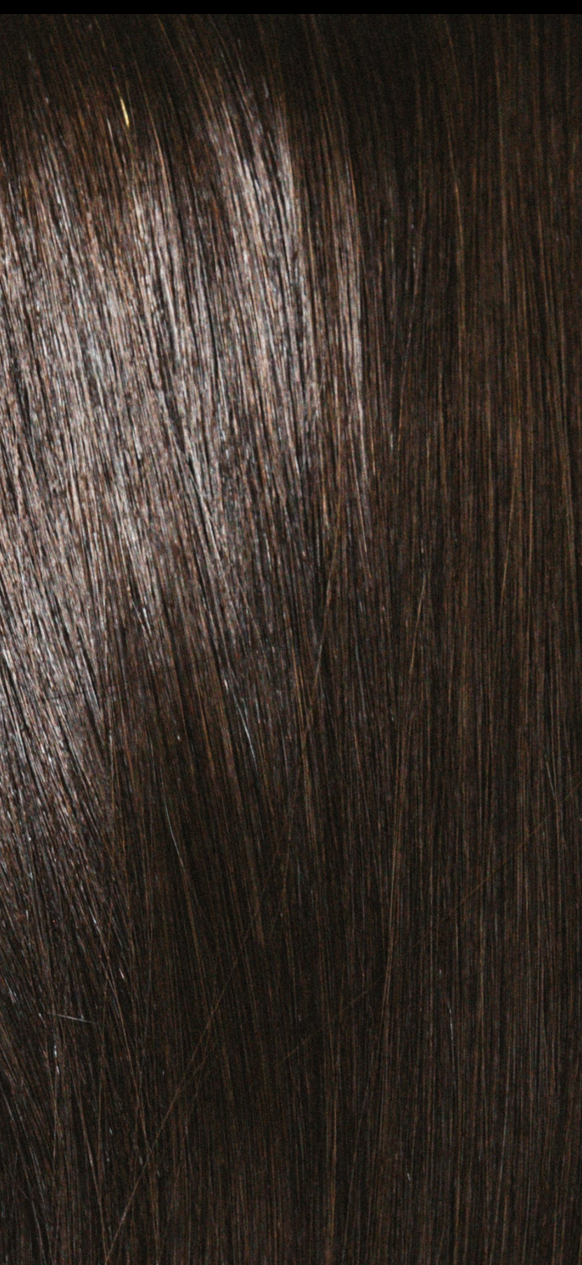 Luxury Seamless Clip-In Extensions